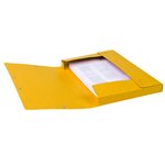 Boite De Classement Cartobox Dos 25mm Carte Lustrée - A4 - Jaune - X 25 - Exacompta