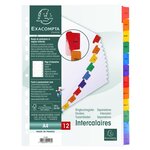 Intercalaires Imprimés mensuels carte blanche 160g - 12 positions - A4 Blanc x 20 EXACOMPTA