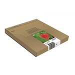 Cartouche epson t2986 fraise easymail multiplack 4 couleurs