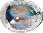 Pièce de monnaie en Argent 20 Dollars g 93.3 (3 oz) Millésime 2016 Sea Treasures HALIOTIS OVINA PEARL