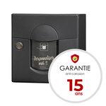 Boîte aux lettres Soléa compact  Gris anthracite REN 0206MS