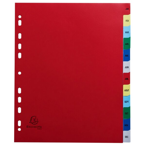 Intercalaires Imprimés Mensuel Pp Couleurs 12/100e - 12 Positions - A4+ - Assorties Vives - X 20 - Exacompta
