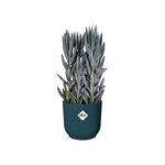 Vibes Fold Pot de fleurs rond Roues 35 - Bleu Ø 35 x 32 cm