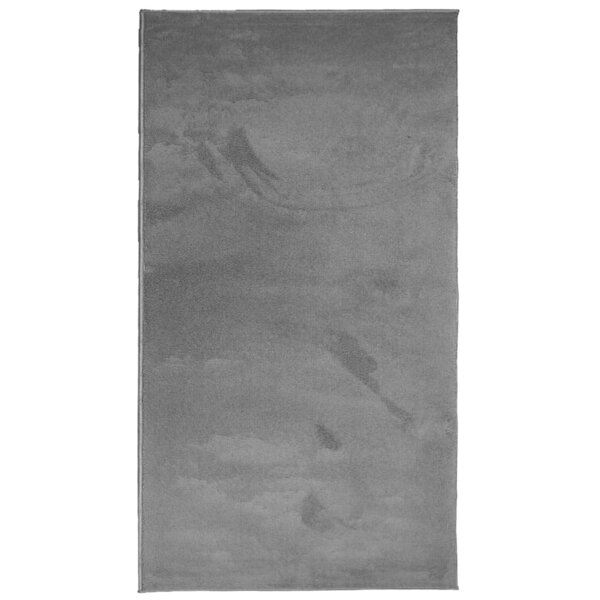 vidaXL Tapis OVIEDO à poils courts anthracite 80x150 cm