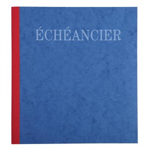 Piqûre 21x19cm échéancier tracé journal 80 pages x 5 EXACOMPTA