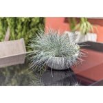 Pot de fleur Plastique Rond Graphit Up Blanc cérusé Ø 40 cm 14 9 L
