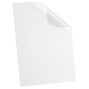 Couverture en plastique transparent et incolore 18/100 pour reliure baguette - paquet de 100 - fellowes