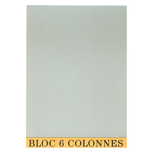BLOC COMPTABLE 29 7/21 6 Col. 70Fls. EXACOMPTA