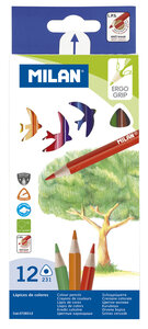 Crayons de couleur triangulaires 12 pièces