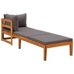 vidaXL Chaise longue avec 1 accoudoir Gris foncé Bois d'acacia solide