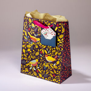 Sac cadeau ramage mml 20 x h 25 oiseau