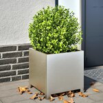 vidaXL Jardinière 40x40x40 cm acier inoxydable
