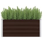 vidaXL Lit surélevé de jardin Marron 100x40x45 cm Acier galvanisé