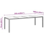 vidaXL Table de jardin 250x100x75 cm Verre trempé et Résine tressée