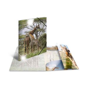 Chemise à élastiques 'girafe', PP Glossy, A4 HERMA