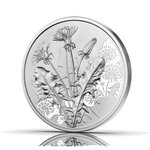 Pièce de monnaie 10 euro Autriche 2022 argent BU – Pissenlit