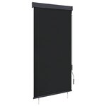 vidaXL Store roulant d'extérieur 80 x 250 cm Anthracite