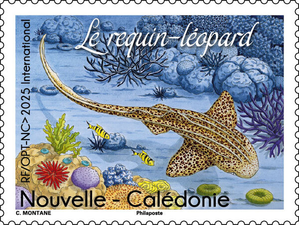 Timbre Nouvelle Calédonie - Le requin-léopard