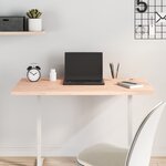 vidaXL Dessus de bureau 100x50x2 5 cm bois massif de hêtre