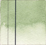 Aquarelle EF QoR 11ml Terre verte S1