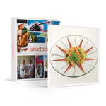 SMARTBOX - Coffret Cadeau Adresses primées : repas 4 plats et vins à l'Auberge du Bon Laboureur à Chenonceaux -  Gastronomie