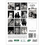 Petit Calendrier Mensuel 2025 14x18 Cm - Chats Noir & Blanc - Draeger paris