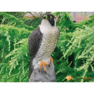 Ubbink Décoration de jardin sous forme de faucon 40 cm