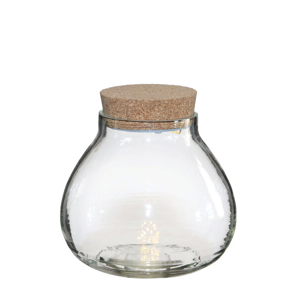 Terrarium avec Bouchon Liège Led Diam 20 5 cm