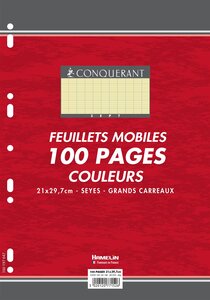Feuillets mobiles 21x29,7 cm 100 pages grands carreaux jaunes 80g CONQUÉRANT