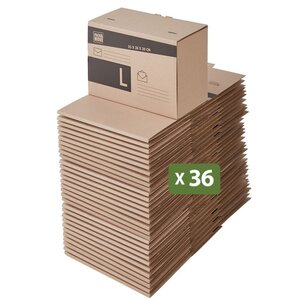 Pack and Move - Lot 36 cartons pour expédition - Taille L - 25 x 38 x 20 cm - Carton renforcé - 20 KG max