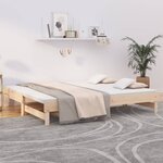 vidaXL Lit coulissant 2x(80x200) cm Bois de pin massif