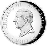Pièce de monnaie en Argent 1 Dollar g 31.1 (1 oz) Millésime 2025 Australian Kangaroo AUSTRALIAN KANGAROO