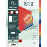 Jeu de 12 intercalaires en carte forte