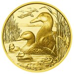 Pièce de monnaie 100 euro Autriche 2018 or BE – Canard colvert