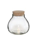 Terrarium avec Bouchon Liège Led Diam 20 5 cm