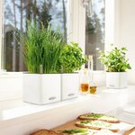 Lechuza jardinière de table cube color 14 all-in-one blanc