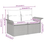 vidaXL Canapé de jardin 2 places avec rangement & coussins en rattan poly beige
