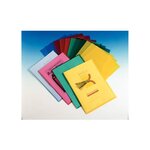 Boîte de 100 pochettes-coin Copy Safe en polypropylène 11/100e rouge ESSELTE