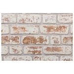 vidaXL Panneaux muraux 3D 10 Pièces rouge et blanc 100x50 cm EPS