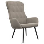 vidaXL Chaise de relaxation Gris clair Velours
