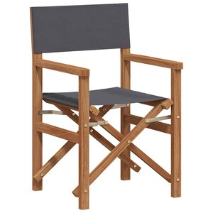 vidaXL Chaise de directeur pliante Gris 55 x 54 x 85 cm