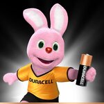 DURACELL Spéciale Piles type MN21 Lot de 2