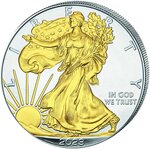 Pièce de monnaie en Argent 1 Dollar g 31.1 (1 oz) Millésime 2023 WALKING LIBERTY