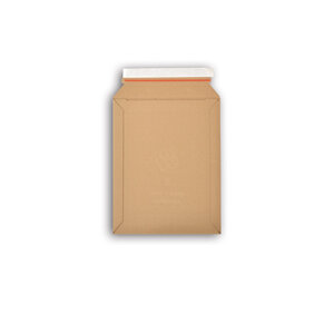 Lot de 1000 enveloppes carton wellbox 2 format 215x290 mm