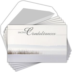 Lot 5 cartes remerciements condoléances +5 enveloppes blanches format 9x14cm