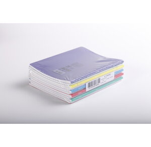Lot de 10 Cahier Polypro Piqué 24x32 cm 48p séyès 90g Coloris Assortis CALLIGRAPHE