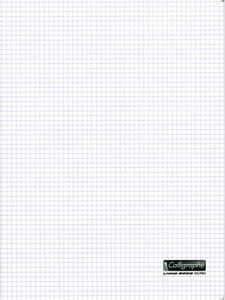 Cahier piqué POLYPRO 24x32cm 48p Q.5X5 90g Couleurs aléatoires CALLIGRAPHE