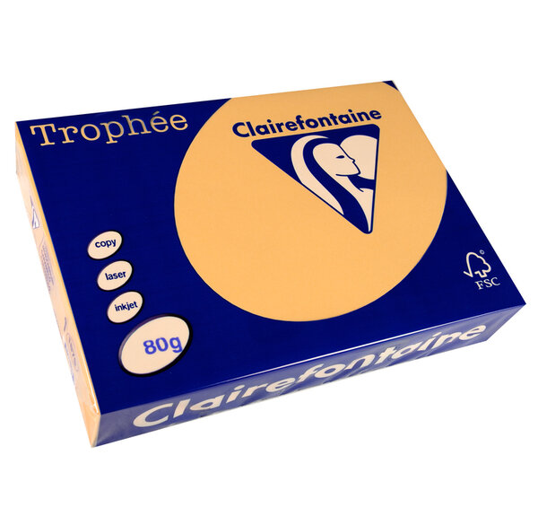 Ramette 500 Feuilles Papier 80g A4 210x297 mm Certifié FSC CARAMEL TROPHÉE
