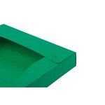 Boite de classement Cartobox - A4 - Dos 25mm Carte lustrée Vert EXACOMPTA