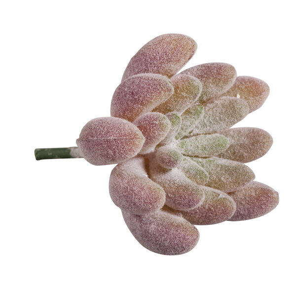 Mini Plante Grasse Succulente Artificielle Echeveria 4 x 2 5 cm